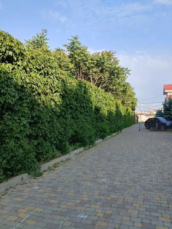 2-к кв. Краснодарский край, Анапа ул. Шевченко, 3 (52.0 м) - Фото 2