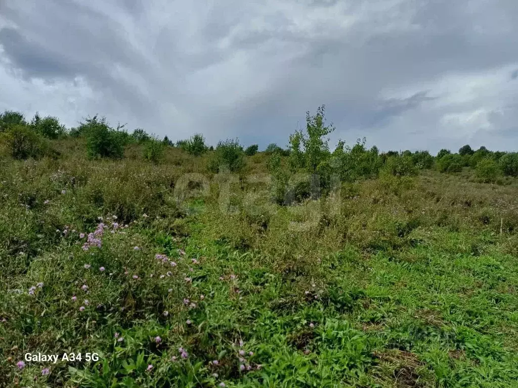 Участок в Алтайский край, Алтайский район, пос. Катунь ул. Пучина, 3/2 ... - Фото 2