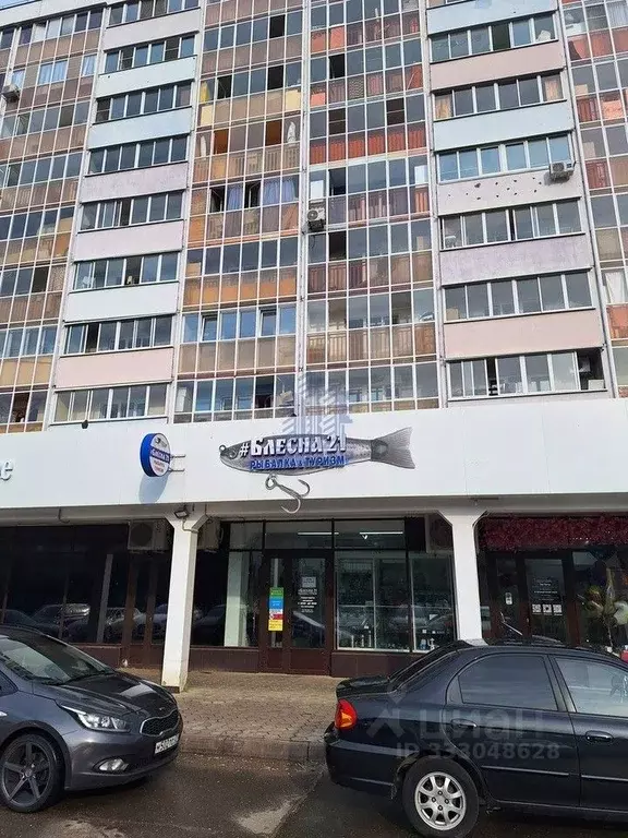 Помещение свободного назначения в Чувашия, Чебоксары ул. П.В. ... - Фото 2