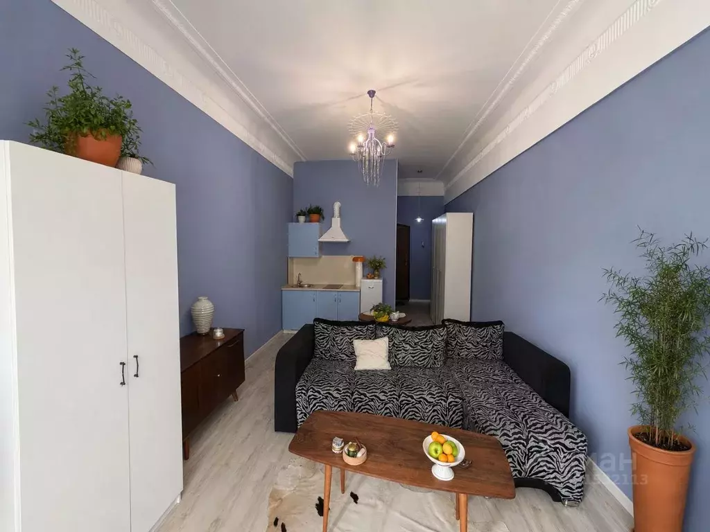 Студия Санкт-Петербург 12-я Красноармейская ул., 3 (30.0 м) - Фото 1