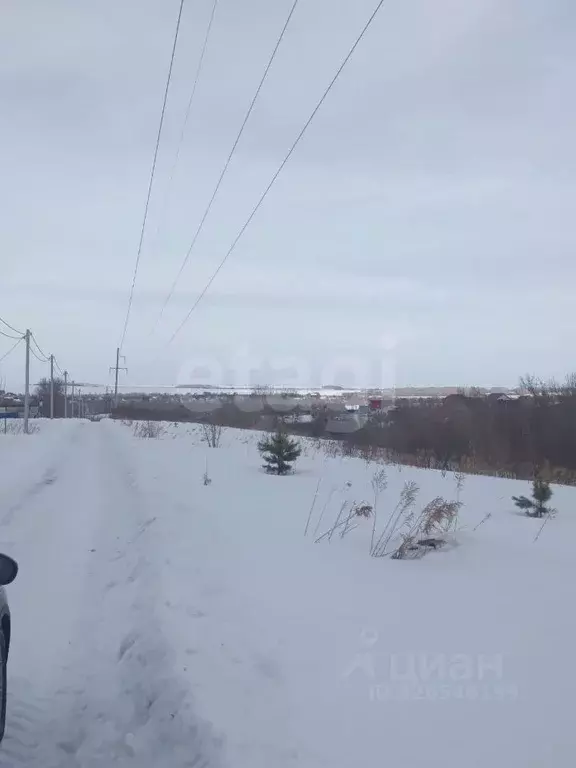 Участок в Алтайский край, Белокуриха ул. Грибная (8.9 сот.) - Фото 2