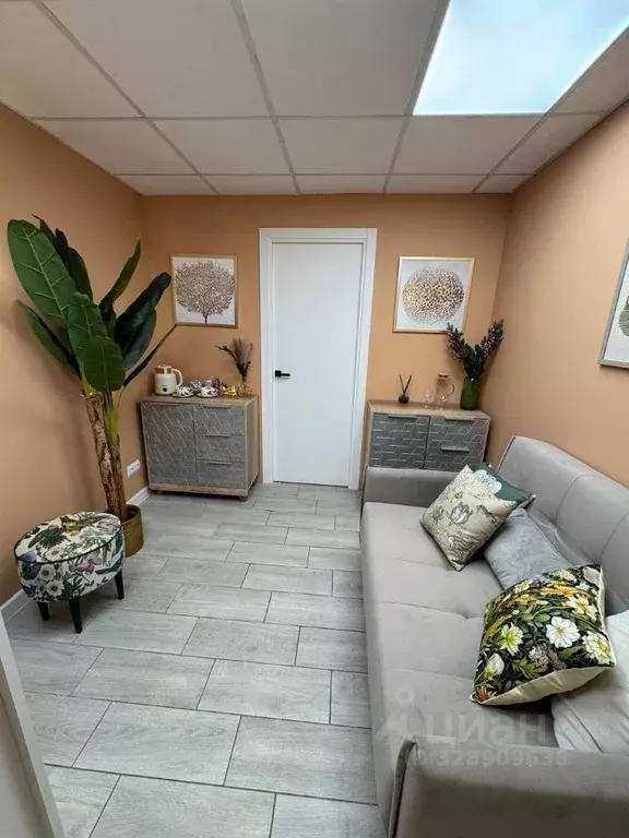 Помещение свободного назначения в Москва Ермолаевский пер., 4 (23 м) - Фото 2