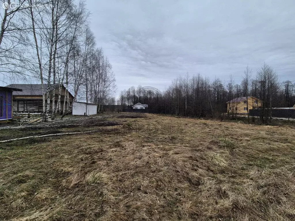 Участок в Богородский городской округ, посёлок Колышкино Болото (11 м) - Фото 2