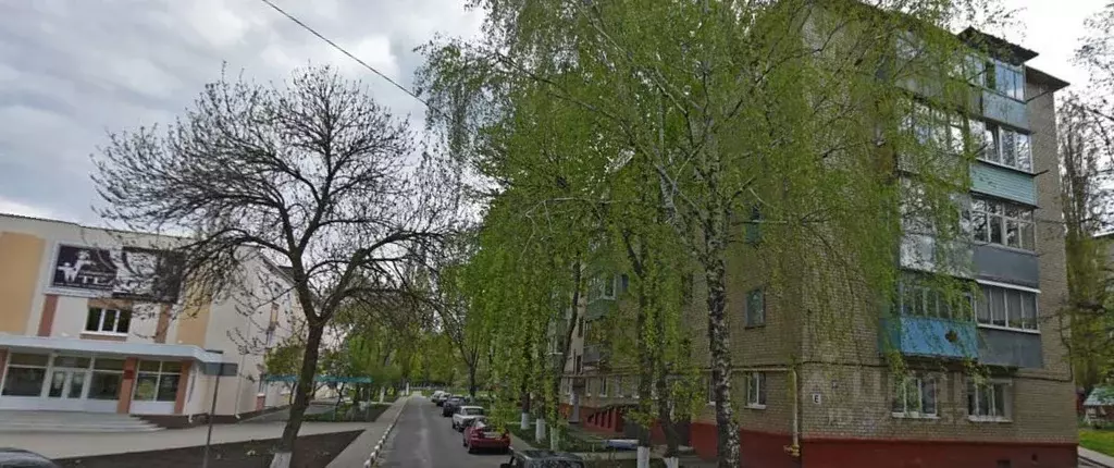 1-к кв. Белгородская область, Губкин ул. Кирова, 52А (32.0 м) - Фото 0