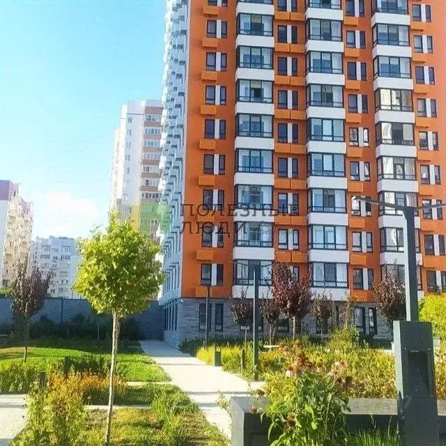 Студия Краснодарский край, Новороссийск ул. Мурата Ахеджака, 3к1 (24.1 ... - Фото 1