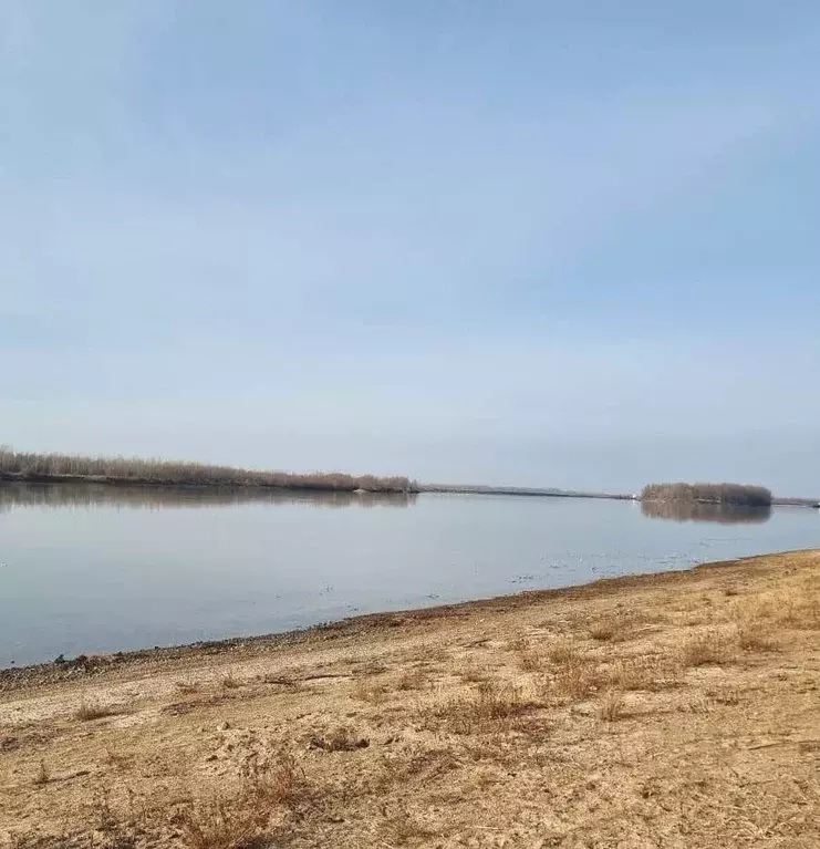 Участок в Омская область, Омский район, с. Розовка, Содружество-3 СНТ  ... - Фото 2