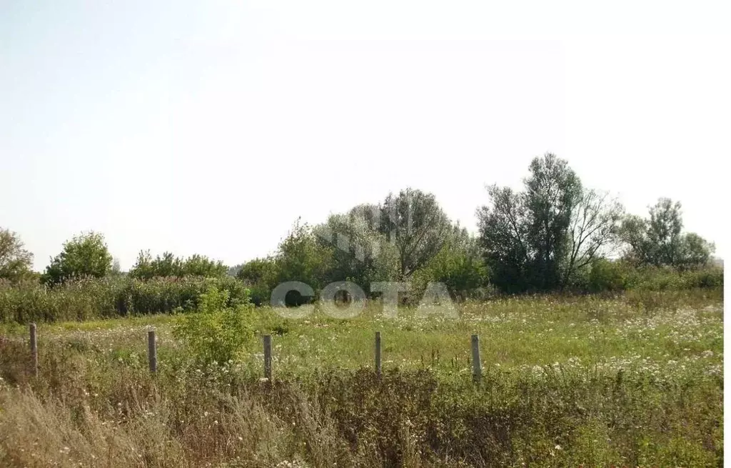 Купить Дом В Рождественской Хаве Новоусманского Района