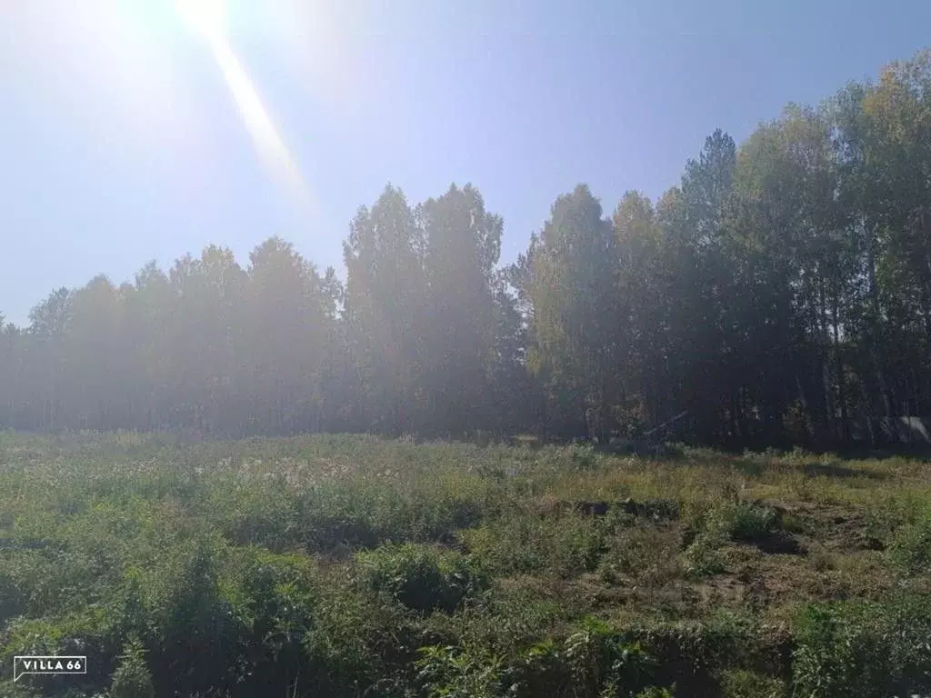 Участок в Свердловская область, Сысертский городской округ, пос. ... - Фото 0