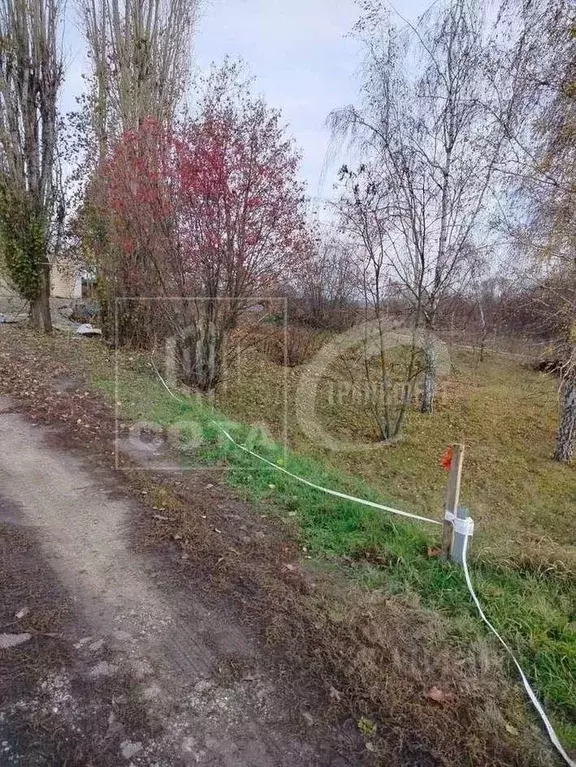 Участок в Воронежская область, Новоусманский район, пос. Отрадное ул. ... - Фото 1