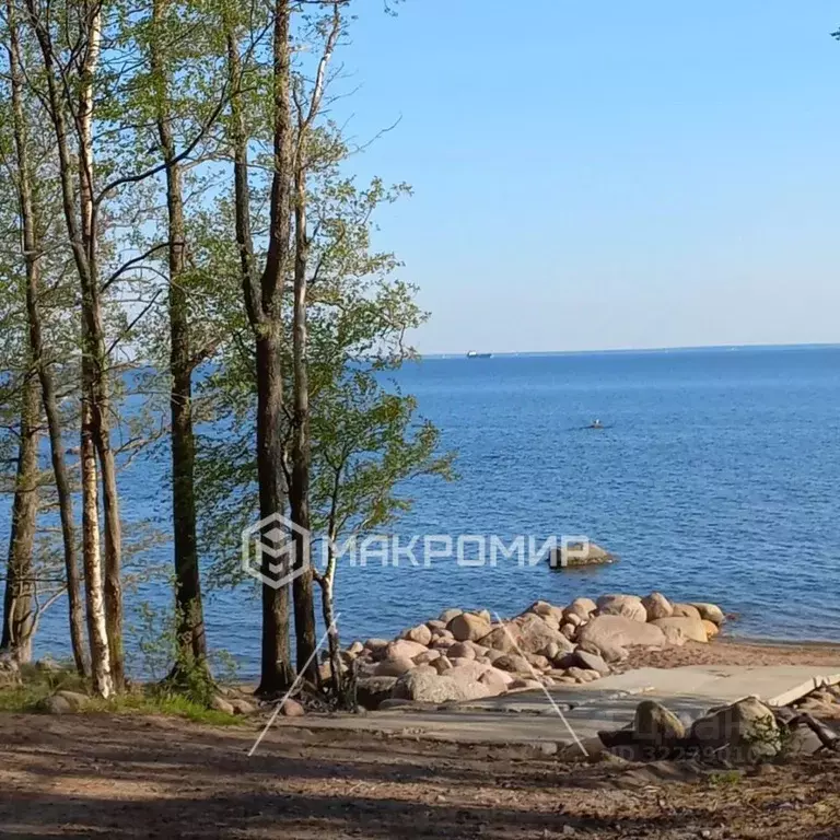 Коттедж в Ленинградская область, Выборгский район, Полянское с/пос, ... - Фото 2