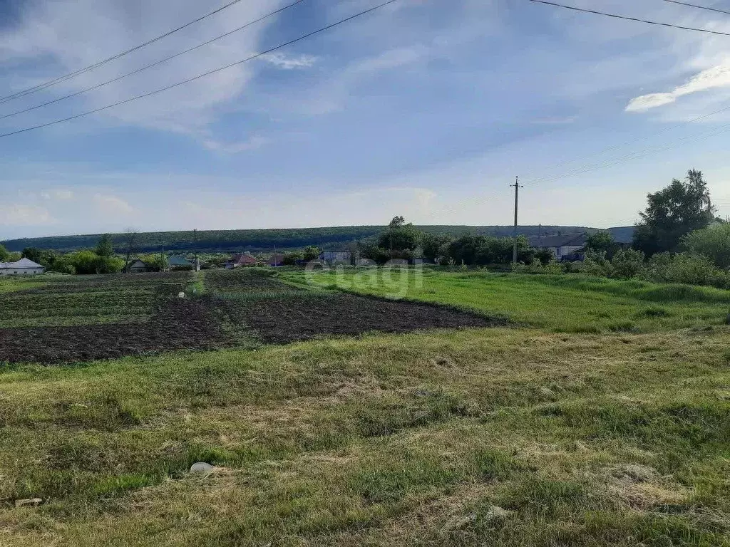 Участок в Белгородская область, Валуйский городской округ, с. ... - Фото 0