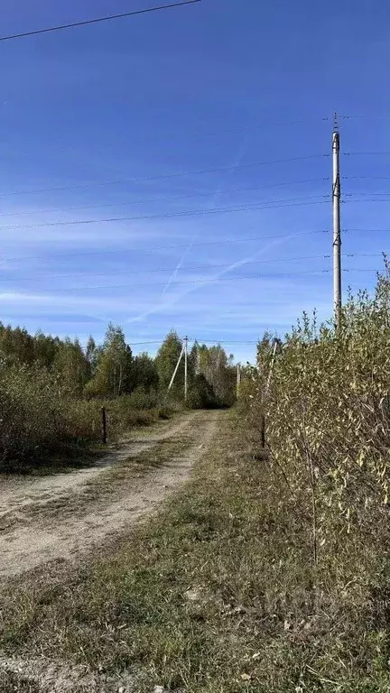 Участок в Свердловская область, Полевской городской округ, с. ... - Фото 0