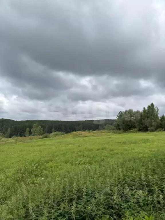 Участок в Тульская область, Тула городской округ, пос. Молодежный  ... - Фото 2