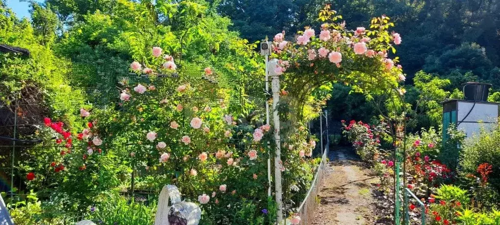 Дом в Краснодарский край, Геленджик городской округ, с. Адербиевка ул. ... - Фото 1