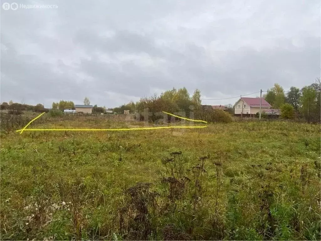 Участок в Ярославский муниципальный округ, деревня Рютнево (10 м) - Фото 2