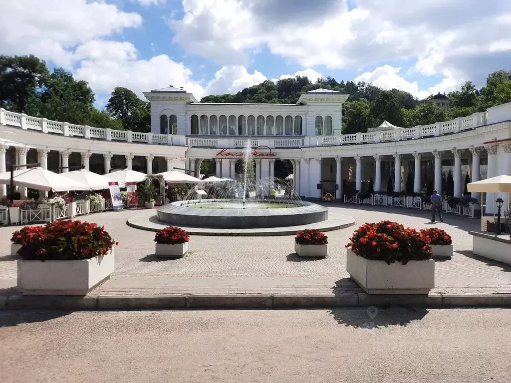 1-к кв. Ставропольский край, Кисловодск просп. Карла Маркса, 4 (26.0 ... - Фото 1