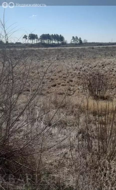 Участок в Благовещенск, территория Двуречье (50 м) - Фото 1