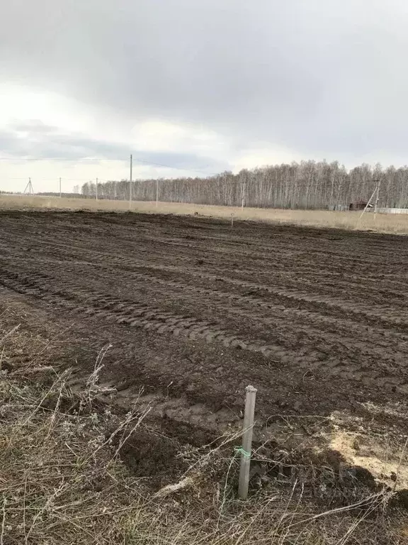 Участок в Челябинская область, Сосновский район, Кременкульское с/пос, ... - Фото 1