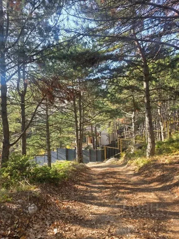 Участок в Крым, Ялта ул. Большевистская, 12 (30.0 сот.) - Фото 1