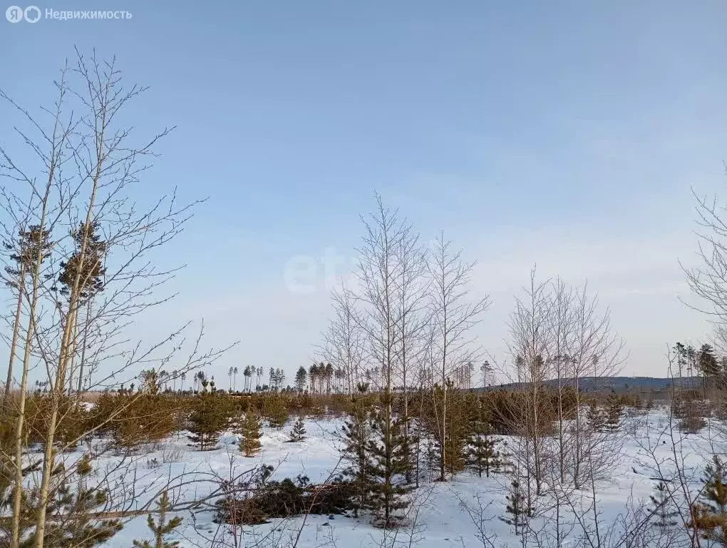 Участок в Читинский район, село Смоленка (6 м) - Фото 1