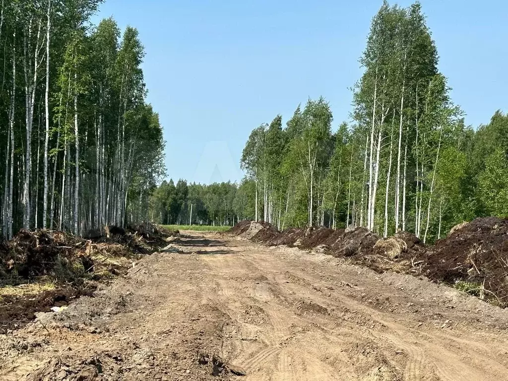 Участок 6 сот. (СНТ, ДНП) - Фото 0