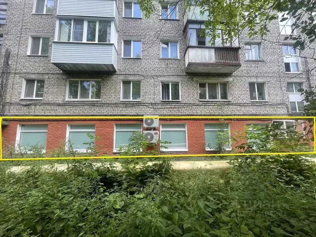 Торговая площадь в Пермский край, Пермь ул. Репина, 31 (263 м) - Фото 1