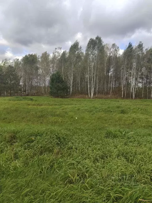 Участок в Тюменская область, Нижнетавдинский район, Земляника кп  (4.5 ... - Фото 0