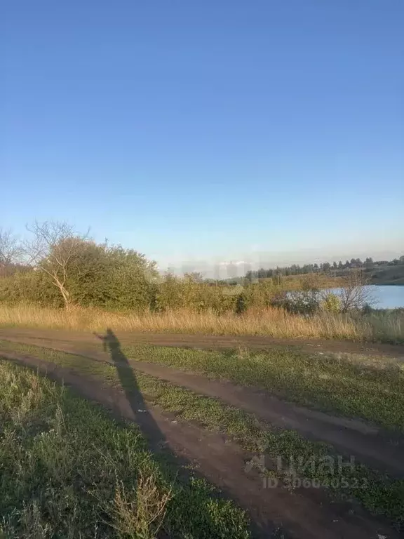 Участок в Липецкая область, Липецкий муниципальный округ, с. Ленино  ... - Фото 0