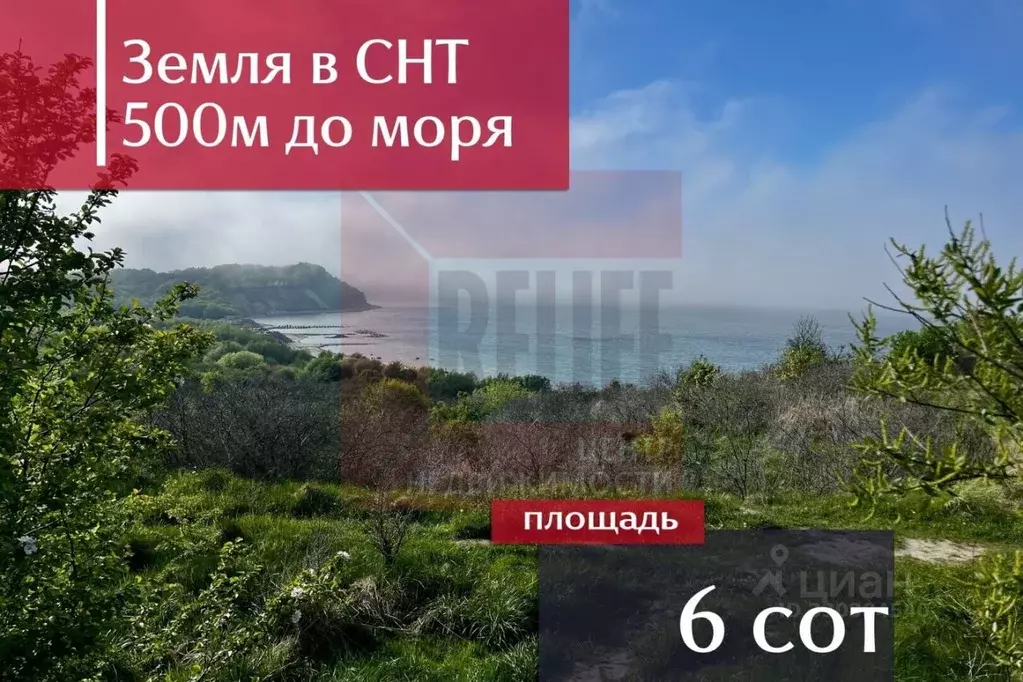 Участок в Калининградская область, Зеленоградский муниципальный округ, ... - Фото 1