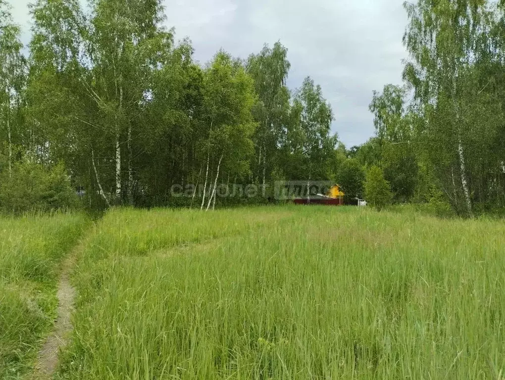 Участок в Калужская область, Калуга городской округ, с. Рябинки  (6.0 ... - Фото 0