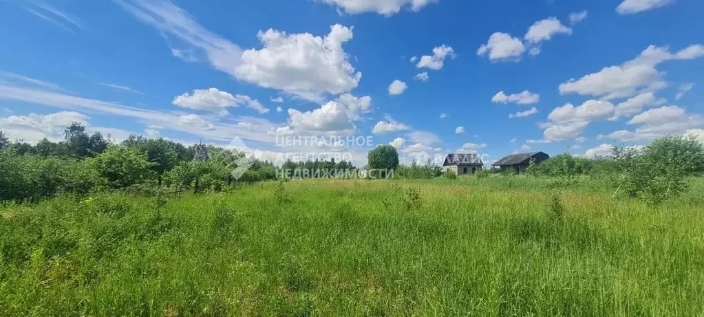 Участок в Рязанская область, Рыбновский муниципальный округ, с. ... - Фото 1