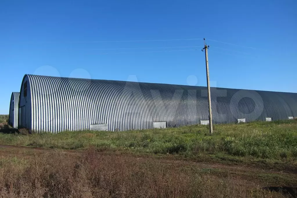 щекинский район село малынь найдены снаряды. тц фатай щекино. веломагазин в щекино. южная улица производственная. юбилейная, 19, щекино, тульская обл.