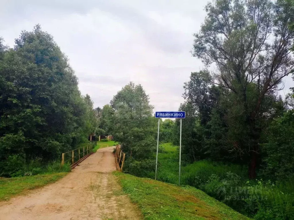 Участок в Ярославская область, Некрасовский муниципальный округ, ... - Фото 1