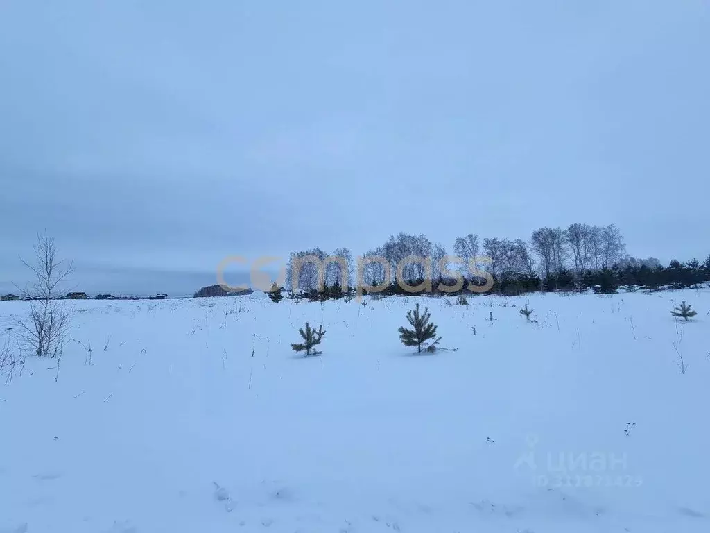 Участок в Тюменская область, Тюмень  (8.0 сот.) - Фото 1