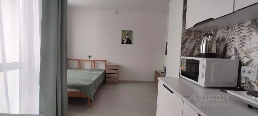 Студия Санкт-Петербург пос. Шушары, просп. Старорусский, 5к1 (21.5 м) - Фото 1