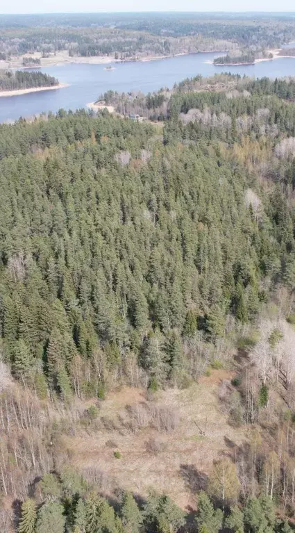 Участок в Карелия, Лахденпохский муниципальный округ, пос. Ласанен  ... - Фото 2