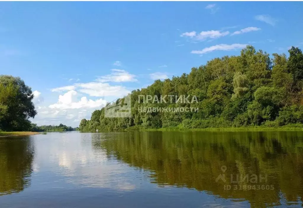 Участок в Московская область, Богородский городской округ, Обухово ... - Фото 1