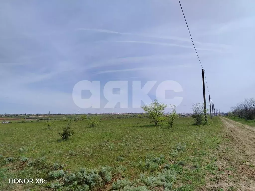 Участок в Волгоградская область, Городищенский район, Царицынское ... - Фото 2