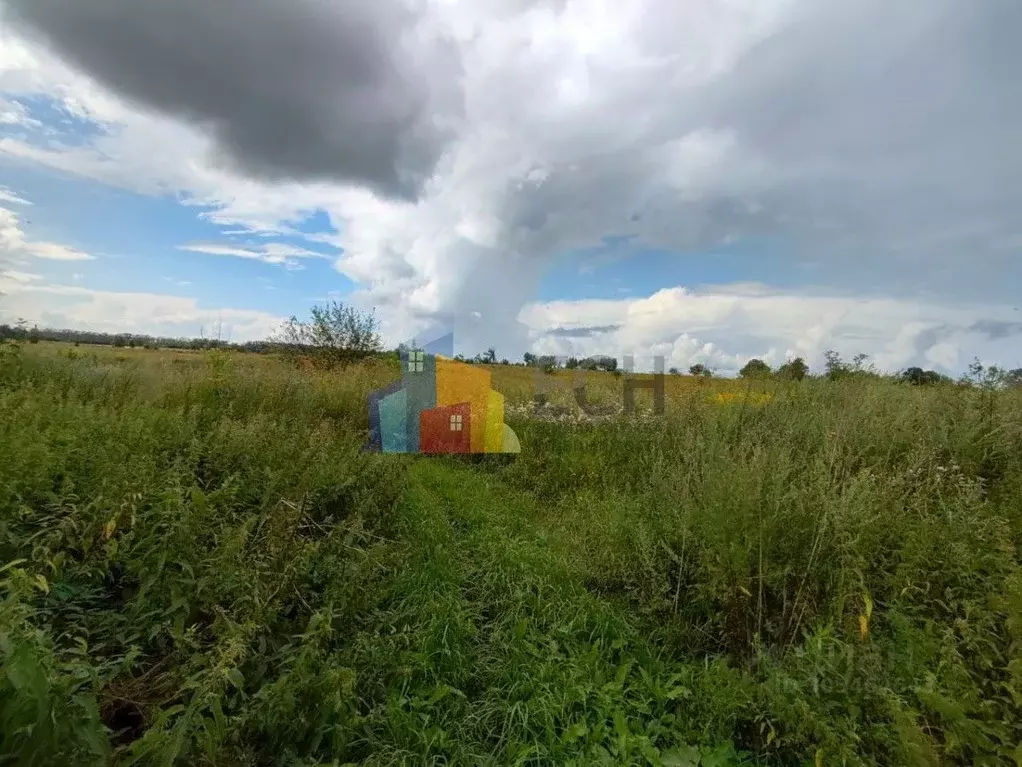 Участок в Тульская область, Богородицкий район, Товарковское ... - Фото 1