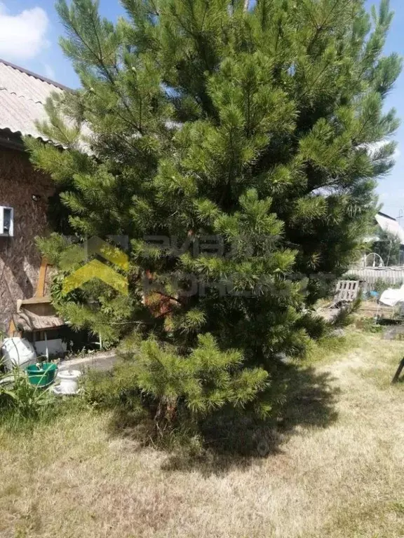 Дом в Омская область, Омск  (28 м) - Фото 1