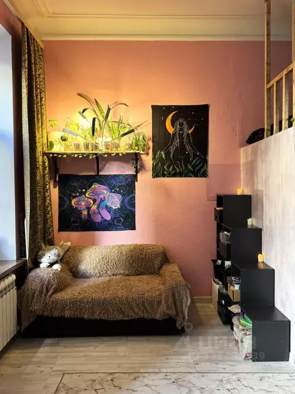 Комната Санкт-Петербург пер. Тучков, 11/5 (23.2 м) - Фото 1