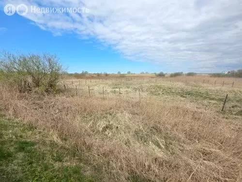 Участок в Калининградская область, Полесский муниципальный округ, ... - Фото 2