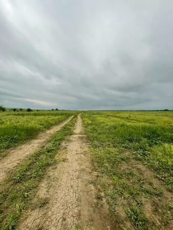 Участок в Чеченская республика, Грозный пос. Алхан-Чурт, ул. ... - Фото 0