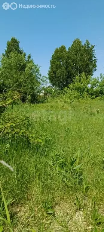 Участок в село Санниково, СНТ Овощевод, Земляничная улица (5.56 м) - Фото 2