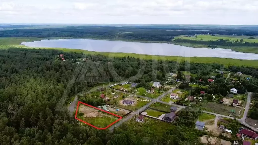 Участок в Веснино, Кедровая улица, 21 (24 м) - Фото 1