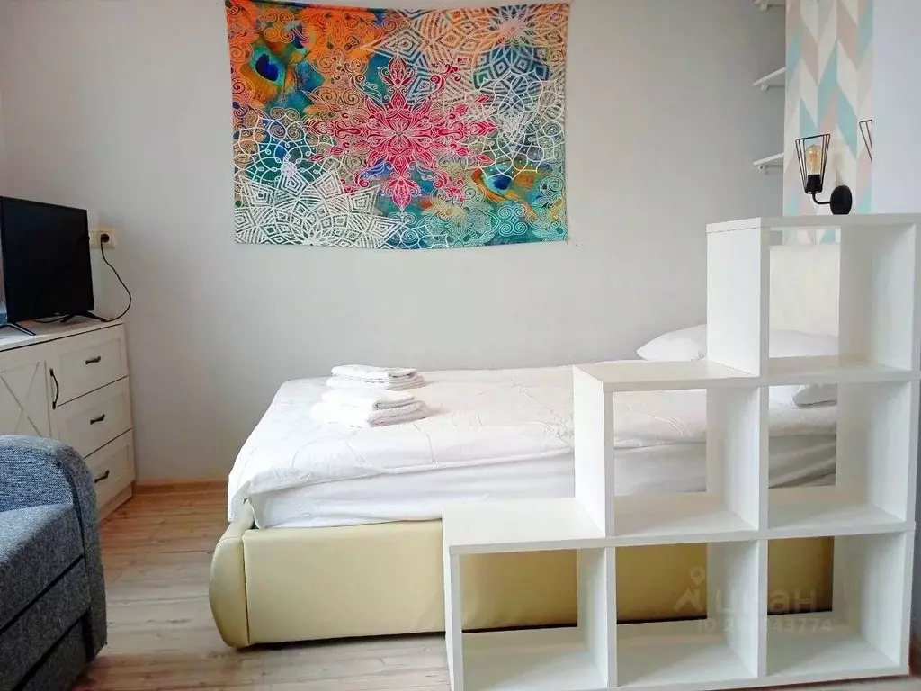 Студия Московская область, Королев Октябрьский бул., 26 (24.1 м) - Фото 2