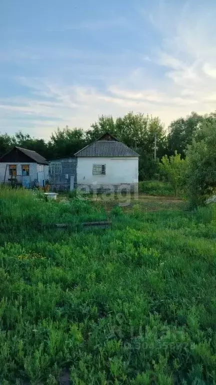 Участок в Белгородская область, Старый Оскол ул. Шмидта (10.0 сот.) - Фото 0