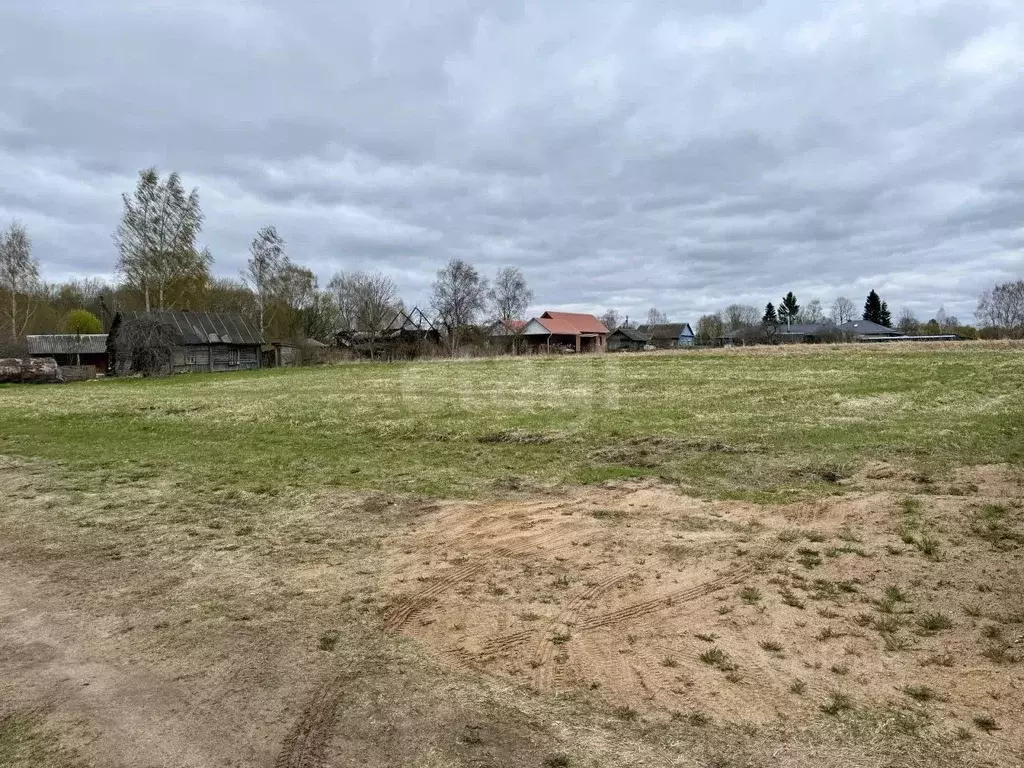 Участок в Смоленская область, Руднянский муниципальный округ, д. ... - Фото 1