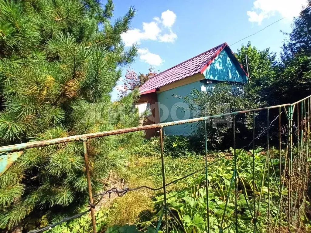 Дом в Алтайский край, Барнаул Дружба СНТ, 33/56 (25 м) - Фото 2