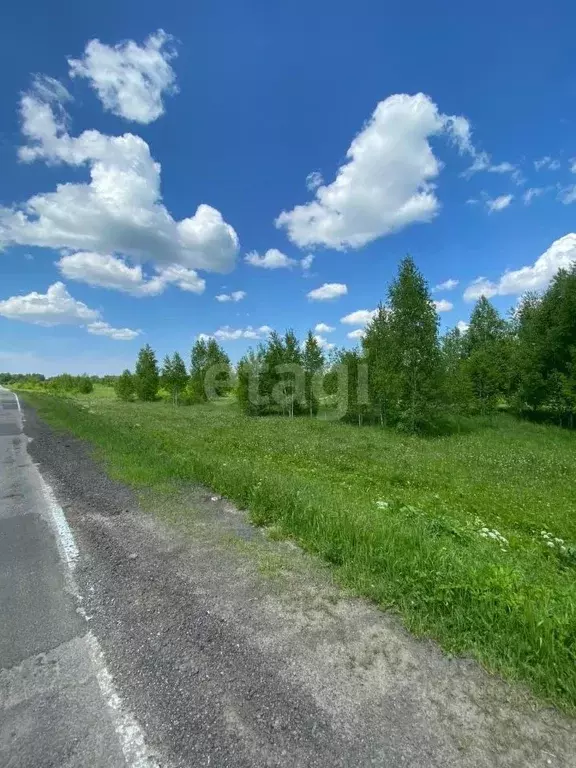 Участок в Кемеровская область, Кемеровский муниципальный округ, д. ... - Фото 1